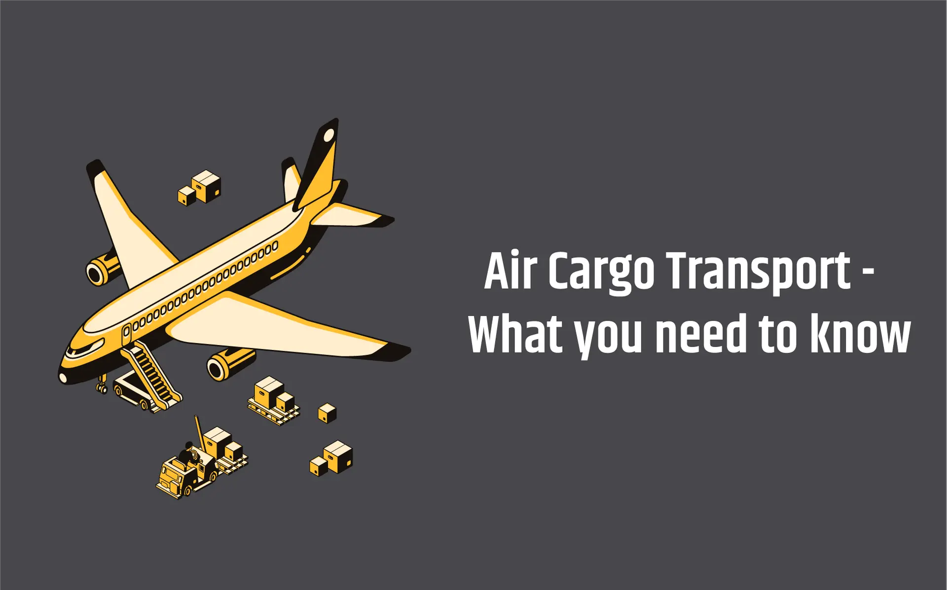 Everything You Need to Know About Air Cargo Transport